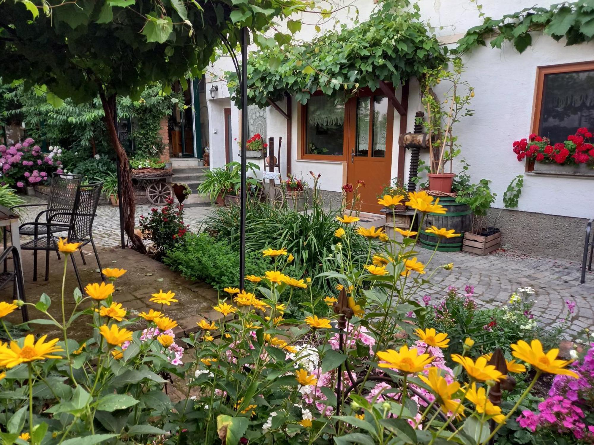Hotel Winzerhof Fleischmann à Kleinhoflein Extérieur photo